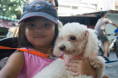makati city veterinary office|Office Of The City Veterinarian .